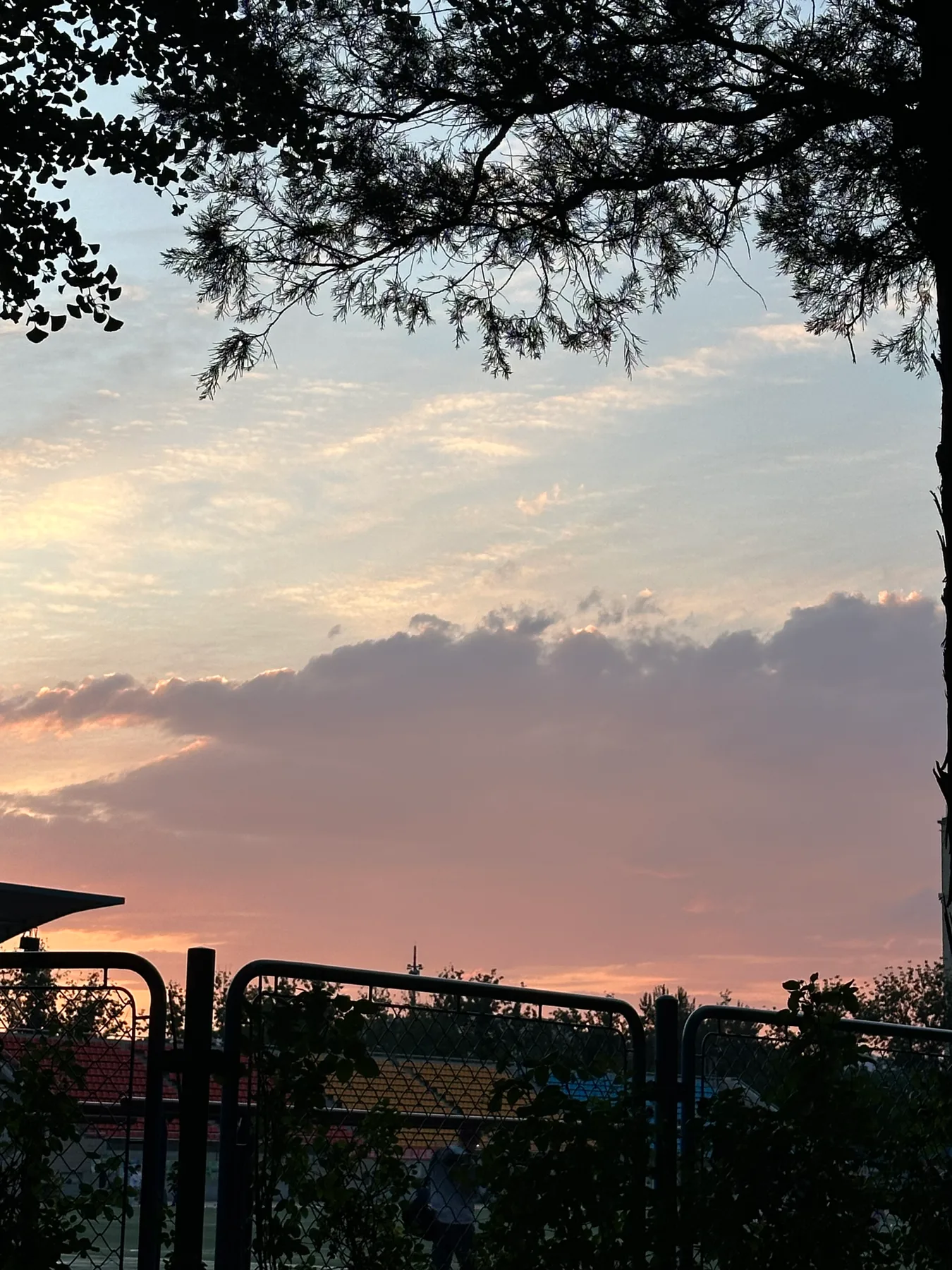 Sunset sky framed by trees above a fence